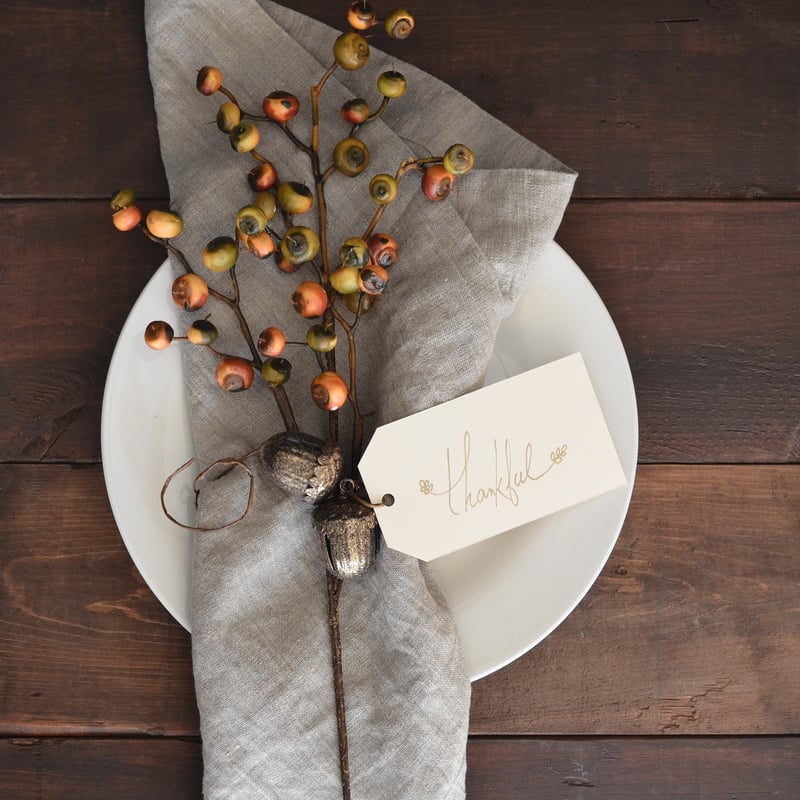 Cultivating Gratitude